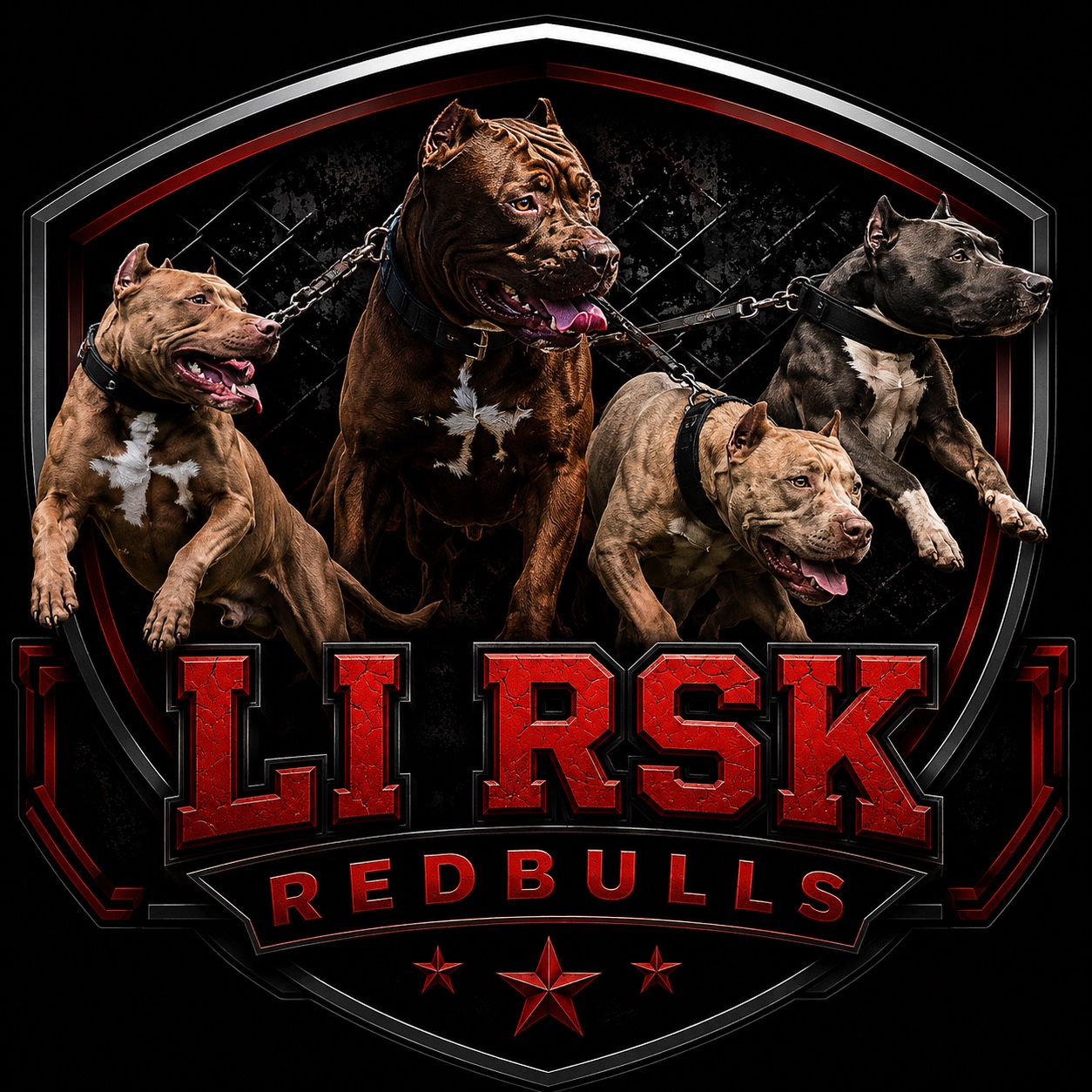 LI RSK Redbulls