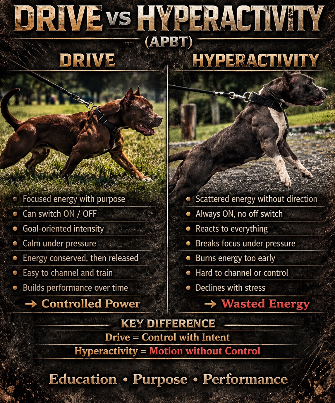 Drive vs hyperactivity